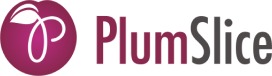 WorkStuff_Home_Plum_Slice_Logo_For_Customised_Stationery